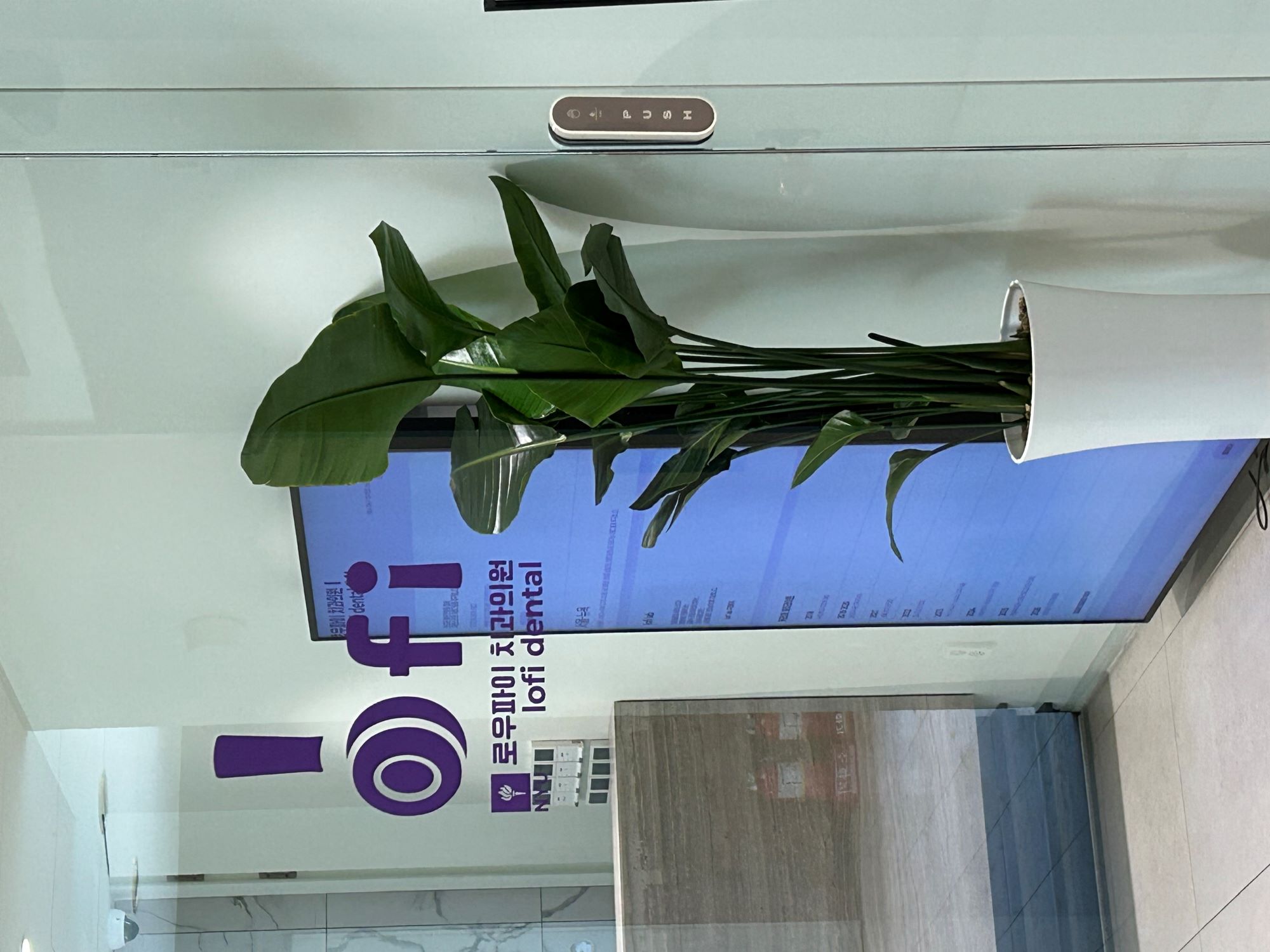 lofi dental entrance sign